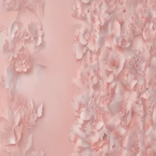 blush background