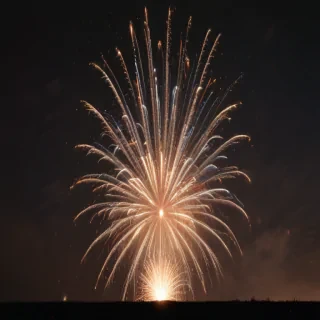 firework png