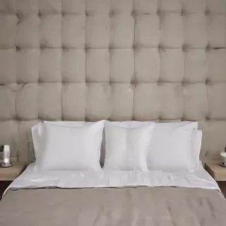 bed back ground