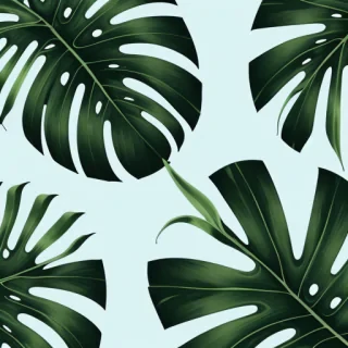 tropical iphone wallpaper