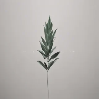 minimalist iphone wallpaper aesthetic