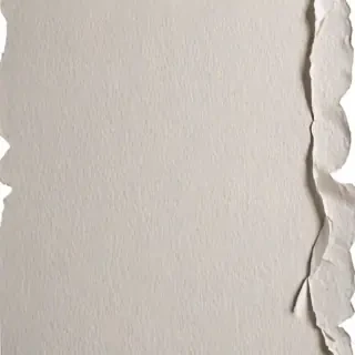 ripped paper transparent
