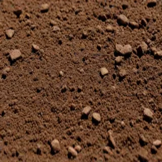 ground png