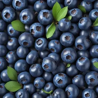 blueberry png