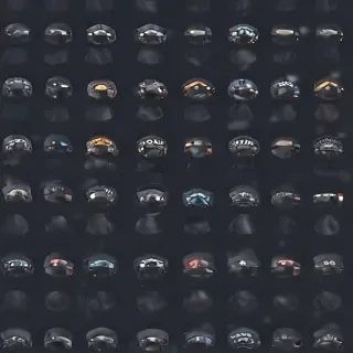 police backgrounds
