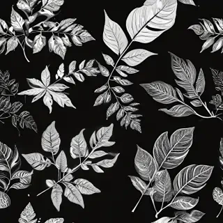 black and white leaf clip art