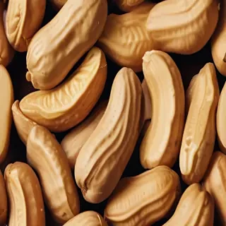 peanut png