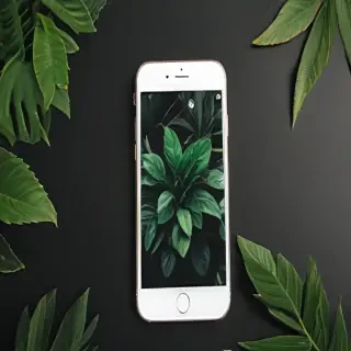 plant phone wallpaper