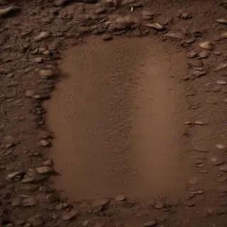soil png