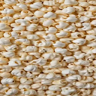 transparent popcorn