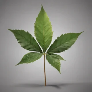 pot leaf png