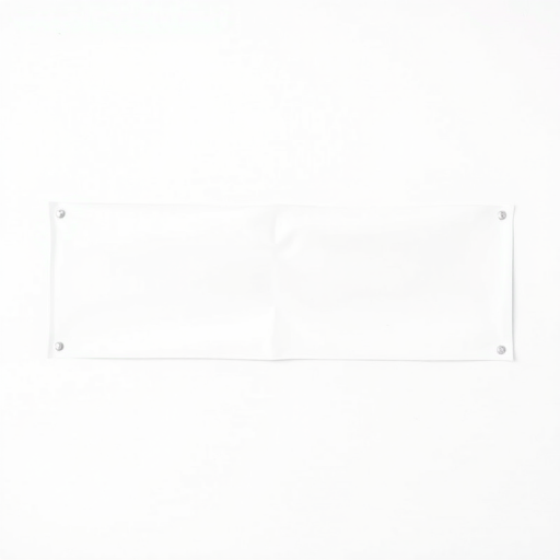a clean white banner with curved ends, frontal view, high-resolution, f/2.8 aperture, 1/250 shutter speed, ISO 100, natural lighting, DSLR camera