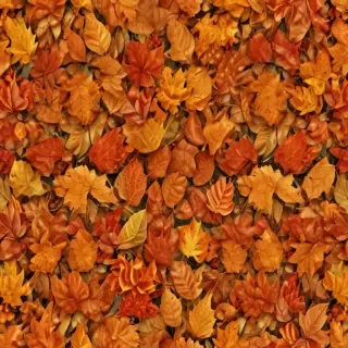 fall leaves png transparent