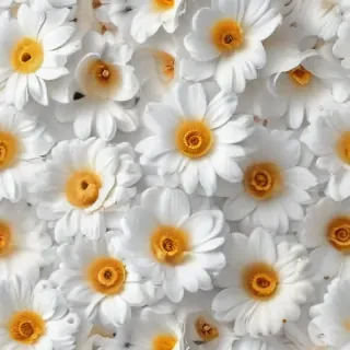white background flower