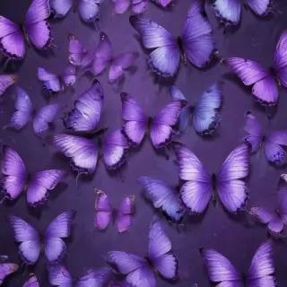 purple butterflies wallpaper