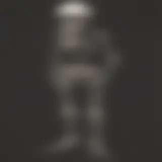 skelton png