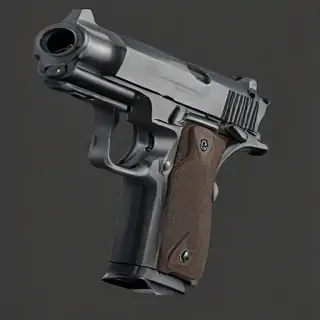 gun no background