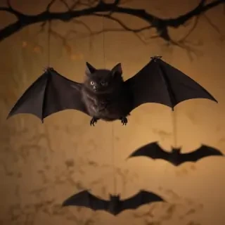 pics of halloween bats