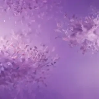 mauve background