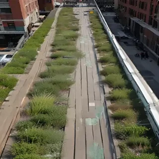 high line photos