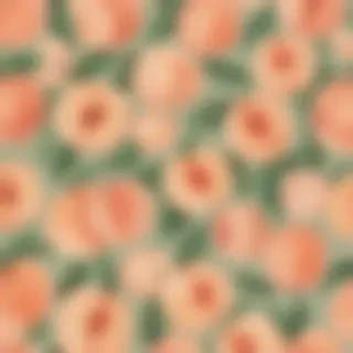 peach background aesthetic