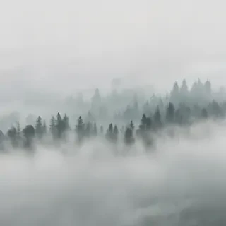 fog transparent background