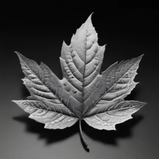leaf images black and white