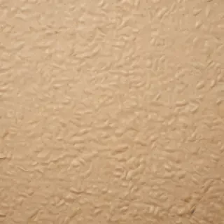 grain paper texture