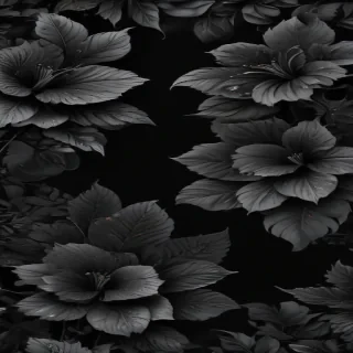 black wallpaper phone