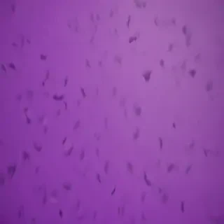 wallpaper iphone purple