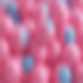 bubblegum png