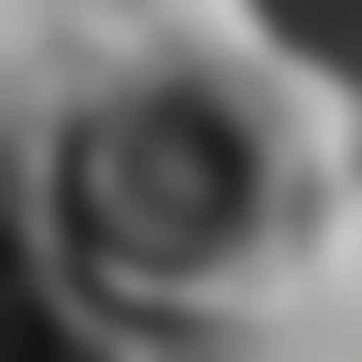 thank you in black and white