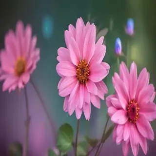 really pretty wallpapers