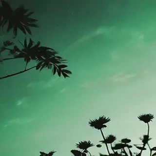 aesthetic backgrounds green