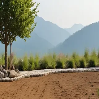 landscaping background