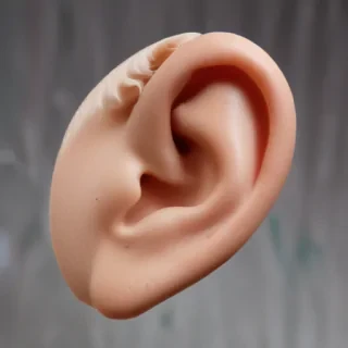 ear png