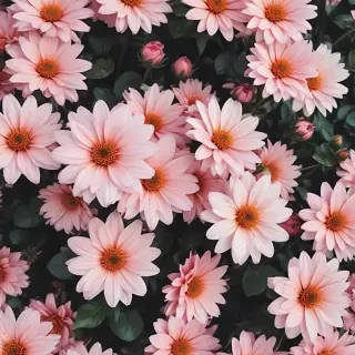 cute aesthetic flower wallpaper