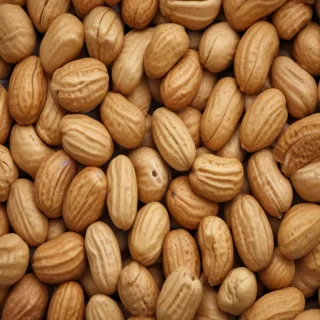 peanut png