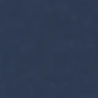 light navy blue background