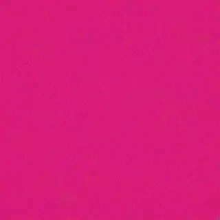 hot pink background