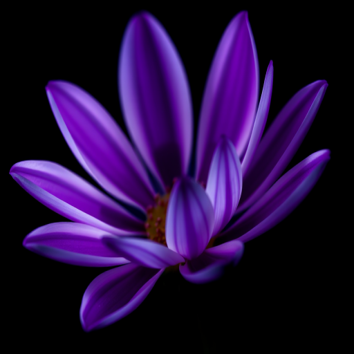 macro shot of a glowing flower with vibrant purple and white petals against a black background, f/2.8 aperture, ISO 100, 1/200 sec shutter speed, using a DSLR camera with a 100mm macro lens, focus on the flower with a shallow depth of field for enhanced details