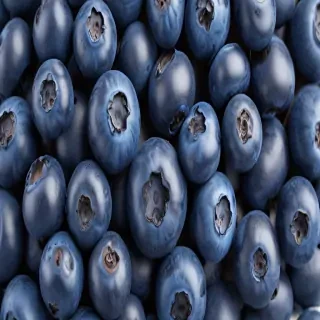 blueberry png