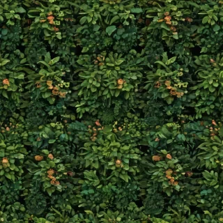 plant desktop wallpaper