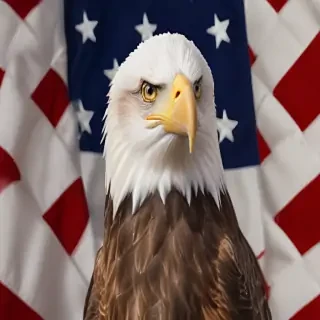 american eagle dog