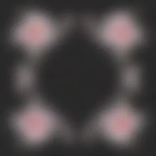 flower transparent border