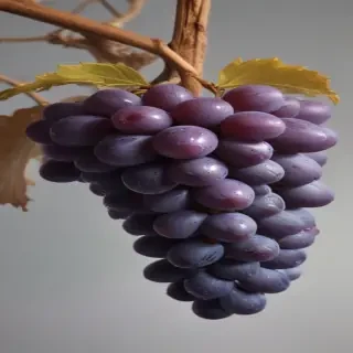 grape png