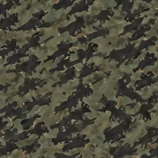 army backround