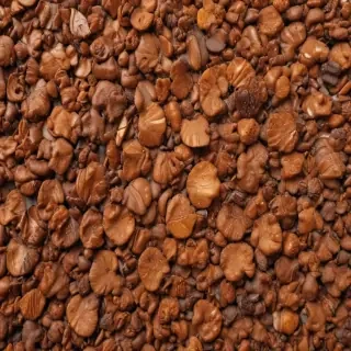 brown backgrown