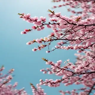 spring wallpaper phone