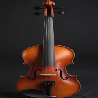 violin png